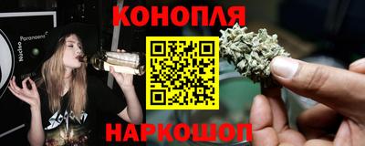 мяу мяу мука Баксан